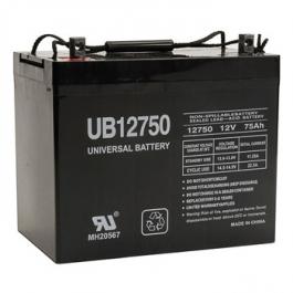 Battery Universe 45821 Sealed Lead Acid Sealed Lead Acid Battery