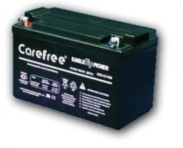 Casil CA121000 Sealed Lead Acid Battery